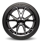 Thumbnail 3 for Eagle&reg; Touring ROF MOE